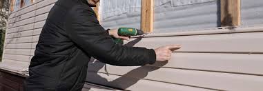 Best Custom Trim and Detailing for Siding  in Randleman, NC